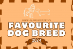 Hinckley and Bosworth favourite dog breed